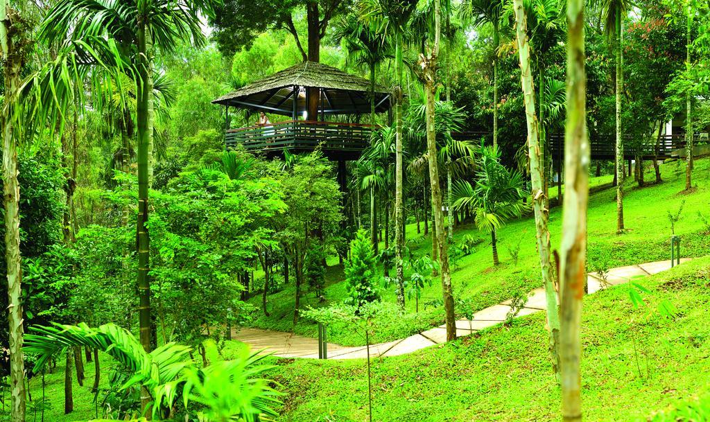 סולטאן באטרי The Woods Resorts Wayanad מראה חיצוני תמונה