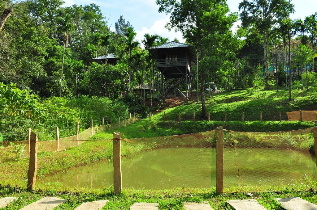 סולטאן באטרי The Woods Resorts Wayanad מראה חיצוני תמונה
