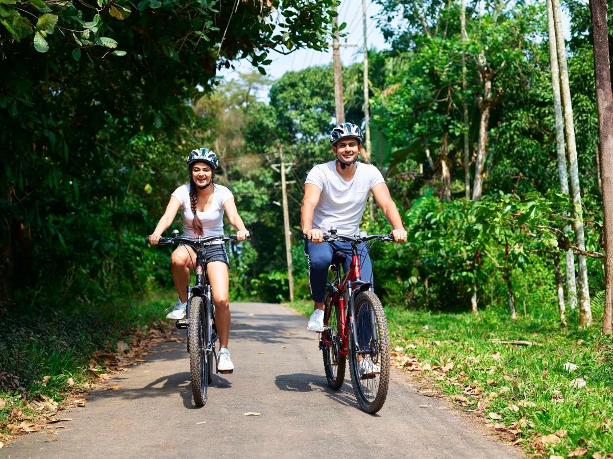 סולטאן באטרי The Woods Resorts Wayanad מראה חיצוני תמונה