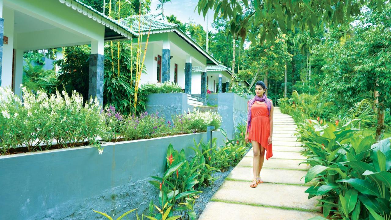 סולטאן באטרי The Woods Resorts Wayanad מראה חיצוני תמונה