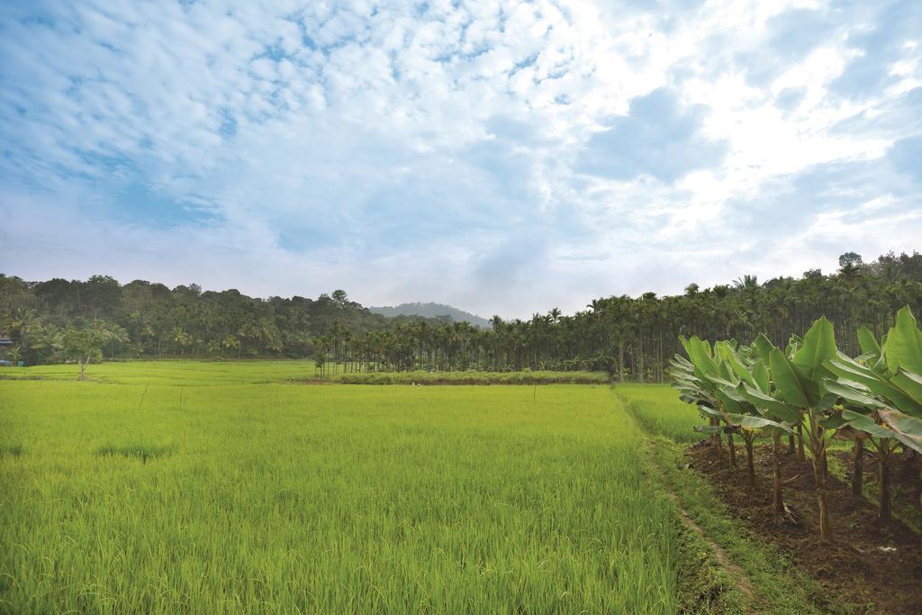 סולטאן באטרי The Woods Resorts Wayanad מראה חיצוני תמונה