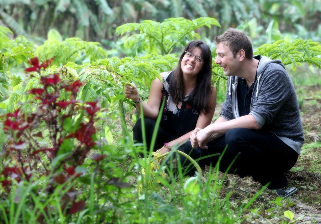 סולטאן באטרי The Woods Resorts Wayanad מראה חיצוני תמונה