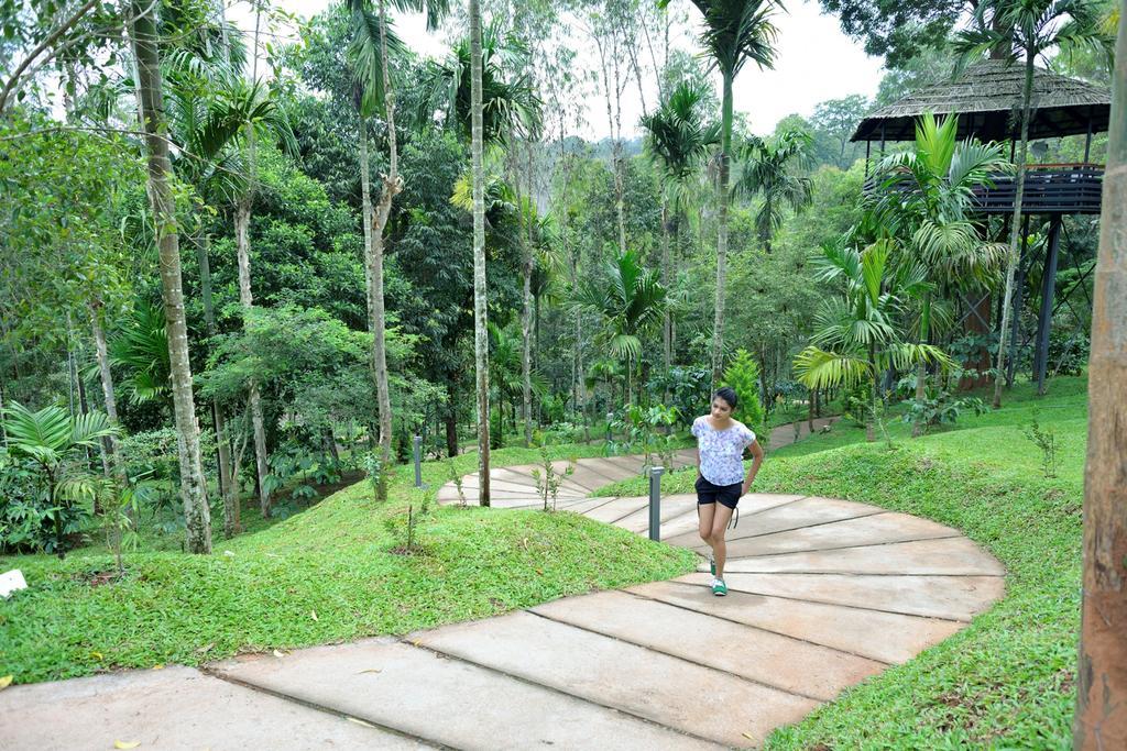 סולטאן באטרי The Woods Resorts Wayanad מראה חיצוני תמונה