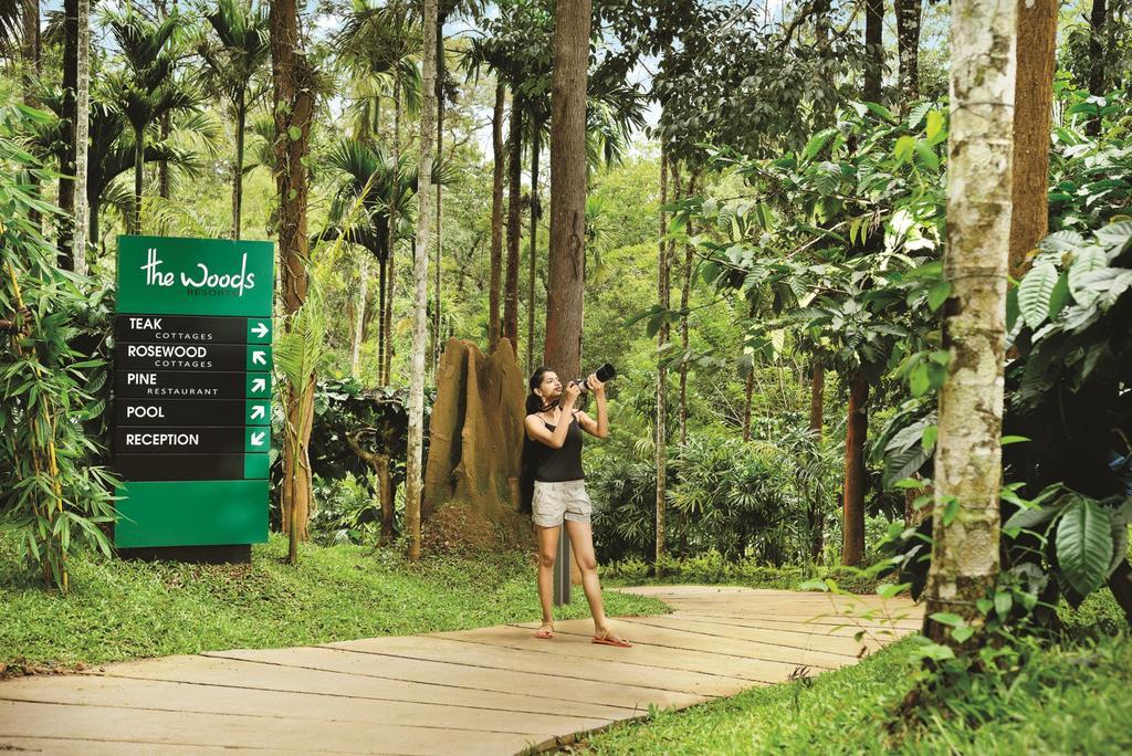 סולטאן באטרי The Woods Resorts Wayanad מראה חיצוני תמונה
