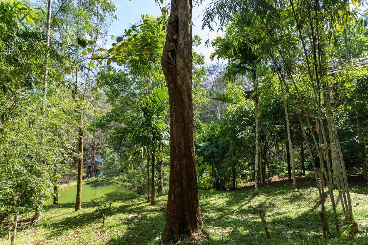 סולטאן באטרי The Woods Resorts Wayanad מראה חיצוני תמונה