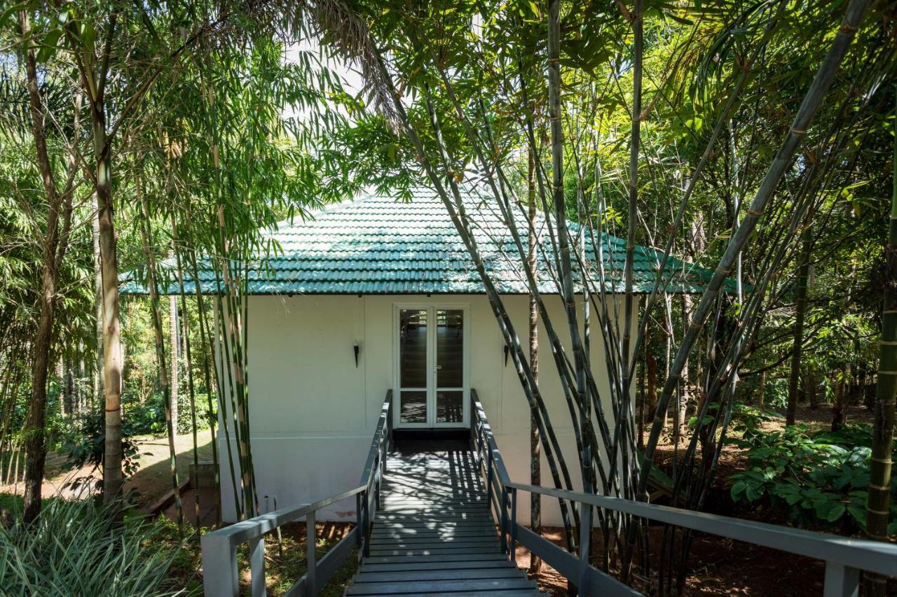 סולטאן באטרי The Woods Resorts Wayanad מראה חיצוני תמונה